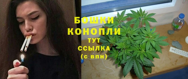 spice Богородицк
