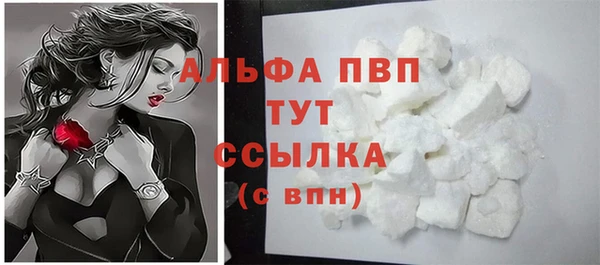 spice Богородицк