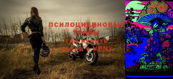 spice Богородицк