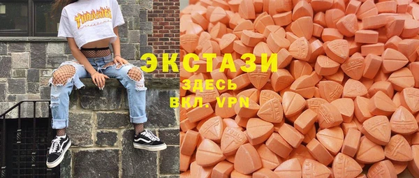 spice Богородицк