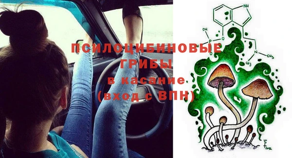 прущая мука Богданович