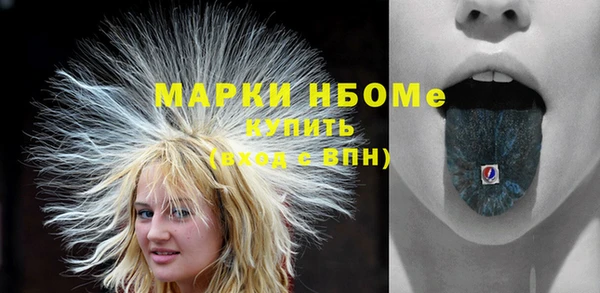 spice Богородицк
