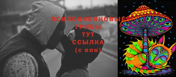 соль курить ск Богородск