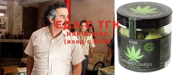 spice Богородицк