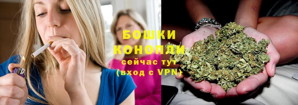 прущая мука Богданович