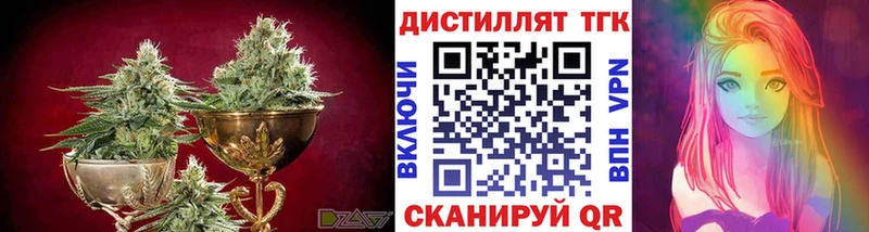 наркота  Кировск  Дистиллят ТГК жижа 